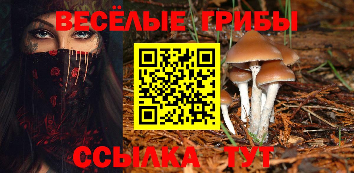 Галлюциногенные грибы мицелий Белорецк