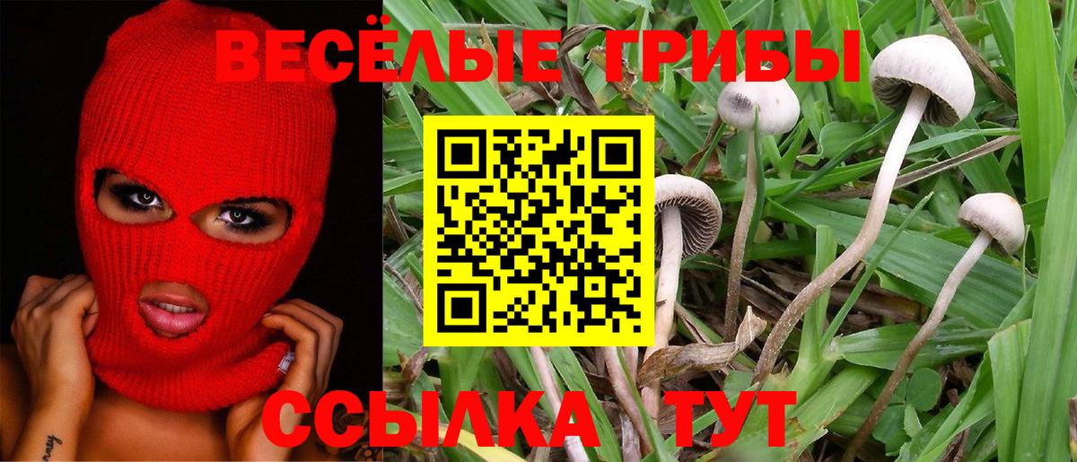 Псилоцибиновые грибы Psilocybine cubensis  Вход с VPN  Псилоцибиновые грибы Cubensis  Белорецк 